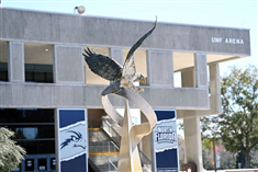  DU HỌC MỸ CHỈ TỪ 6,793 USD/NĂM NHỜ HỌC BỔNG TẠI UNIVERSITY OF NORTH FLORIDA (UNF)